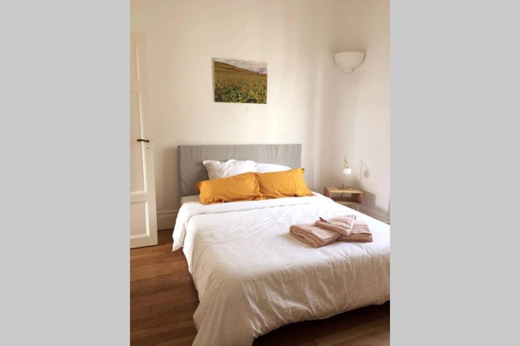 Appartement Cosy Idealement Situe Au Centre Ville Dijon Eksteriør billede